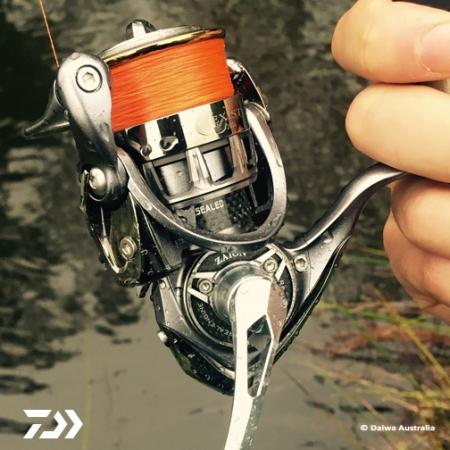 Fan gallery #2304
