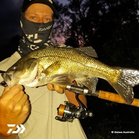 Fan gallery #3031