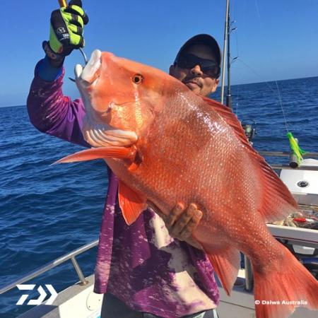 Fan gallery #2082