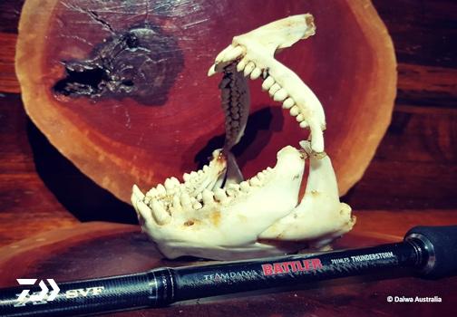 Fan gallery #2464