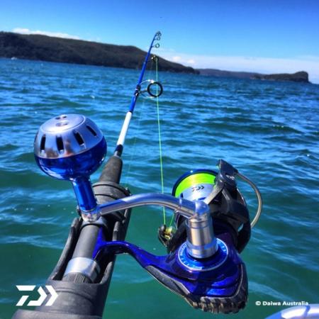 Fan gallery #913