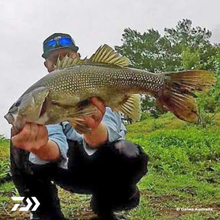 Fan gallery #912