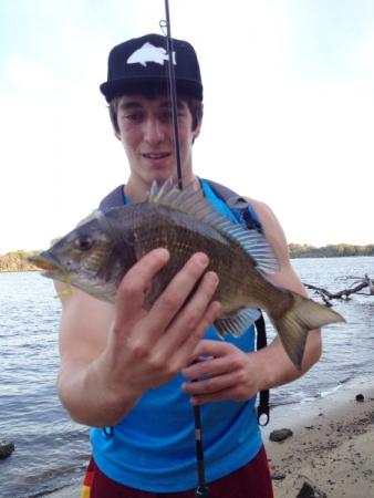 Fan gallery #3680