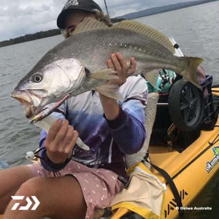 Fan gallery #666