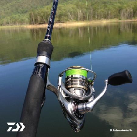 Fan gallery #2764