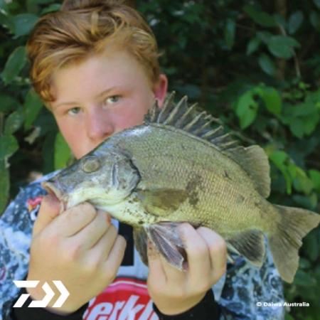 Fan gallery #2256