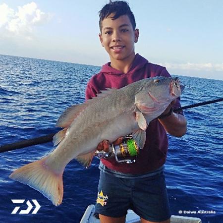 Fan gallery #892
