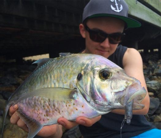 Fan gallery #3677