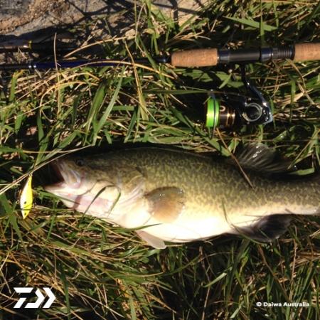 Fan gallery #2992