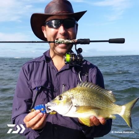 Fan gallery #659