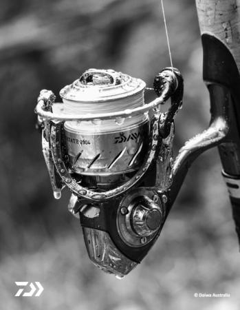 Fan gallery #2928