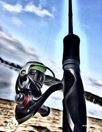 Fan gallery #3356