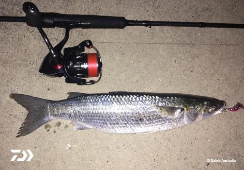Fan gallery #2054