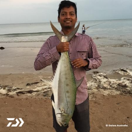 Fan gallery #3450