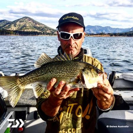 Fan gallery #3403
