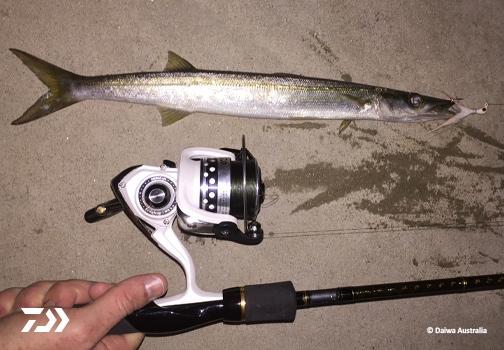 Fan gallery #3624