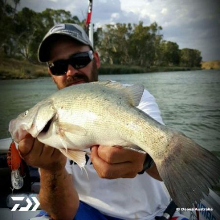 Fan gallery #2279