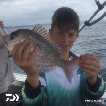 Fan gallery #3700