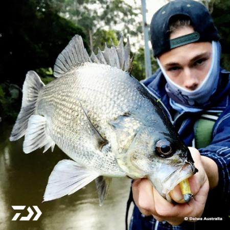 Fan gallery #3000