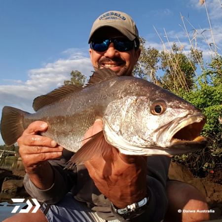 Fan gallery #2206
