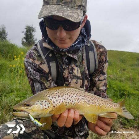 Fan gallery #890
