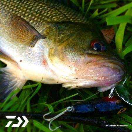 Fan gallery #2249