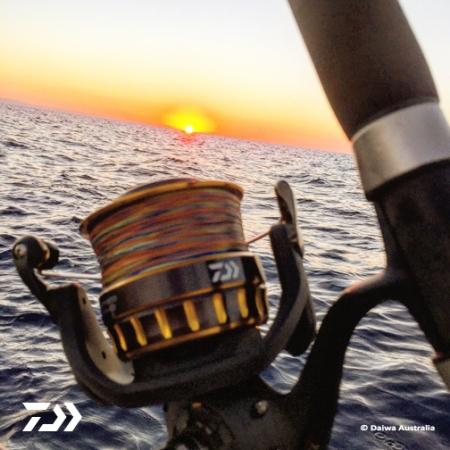 Fan gallery #2178