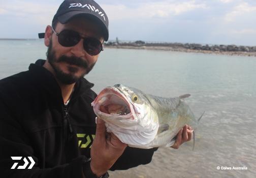 Fan gallery #2605