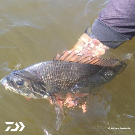 Fan gallery #2268