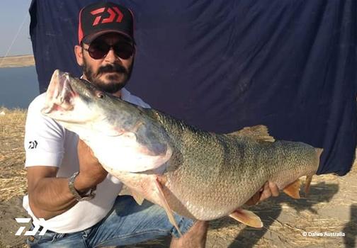Fan gallery #895