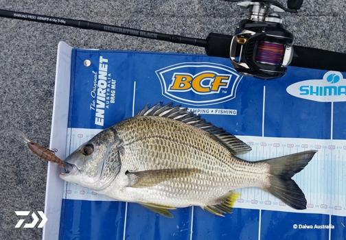 Fan gallery #3514