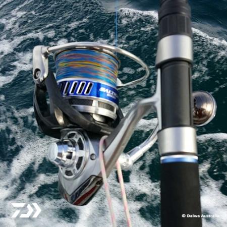 Fan gallery #2027