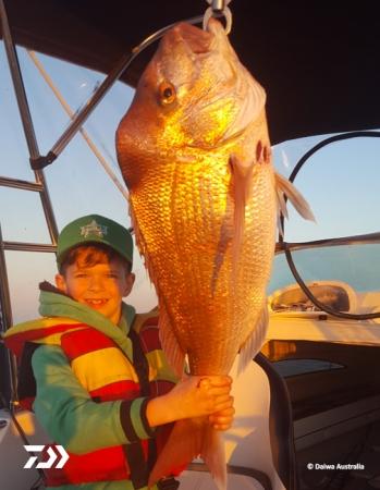 Fan gallery #668