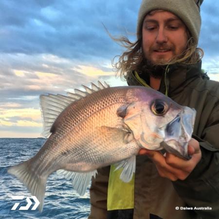 Fan gallery #2490