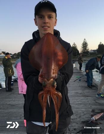 Fan gallery #3447