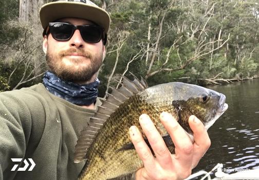 Fan gallery #930
