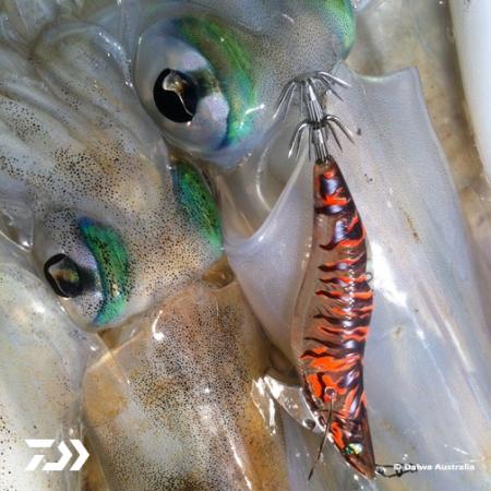 Fan gallery #2983