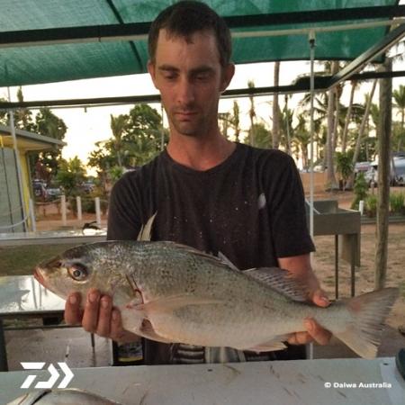 Fan gallery #2364