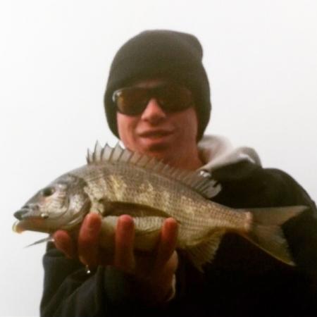 Fan gallery #2864