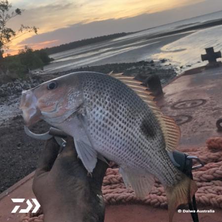 Fan gallery #3608