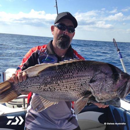 Fan gallery #2812