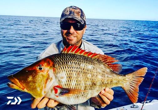 Fan gallery #2092
