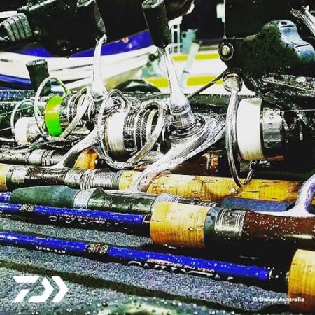 Fan gallery #2587