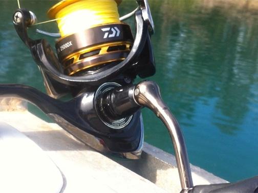 Fan gallery #2218