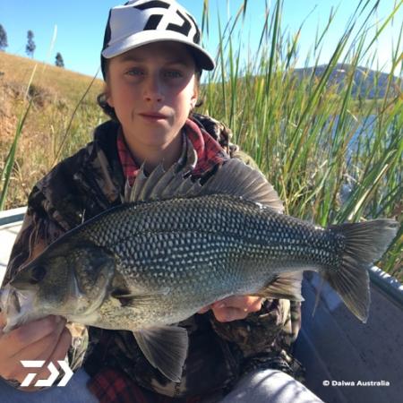Fan gallery #2496
