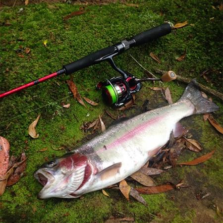 Fan gallery #2915