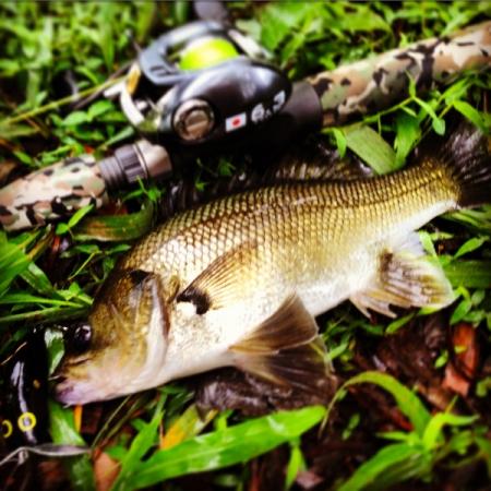 Fan gallery #3254