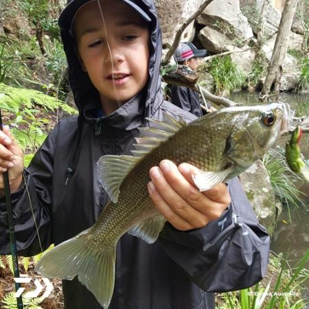 Fan gallery #2645