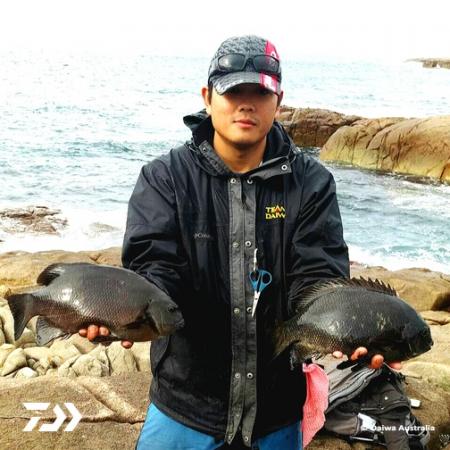 Fan gallery #2639
