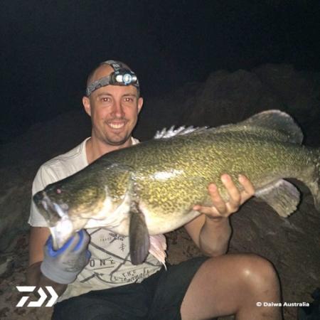 Fan gallery #2711